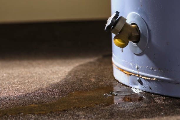 Best Sewage cleanup and water damage restoration  in Blue Ridge, GA