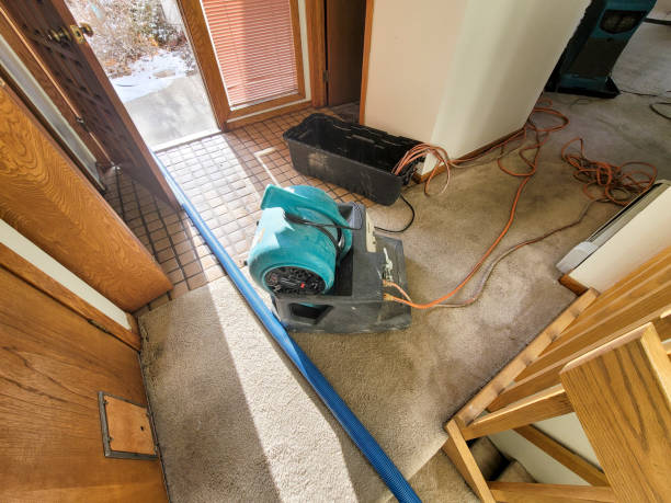  Blue Ridge, GA Water damage restoration Pros