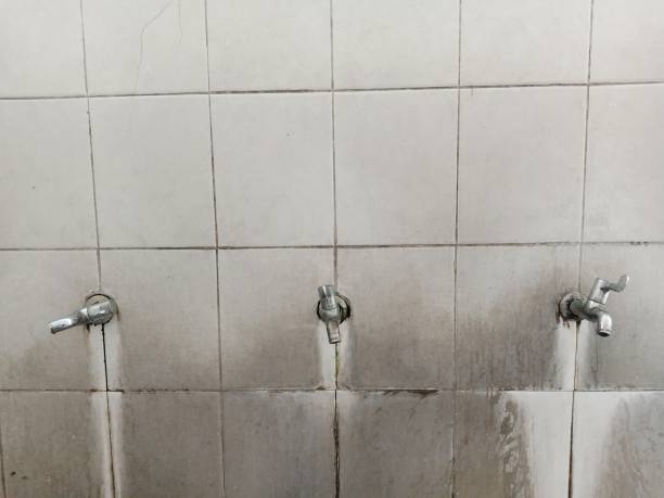  Blue Ridge, GA Water damage restoration Pros
