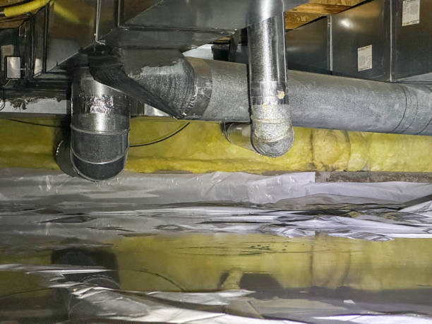 Best Water damage cleanup near me  in Blue Ridge, GA
